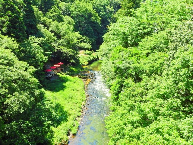 山中温泉の「鶴仙渓」